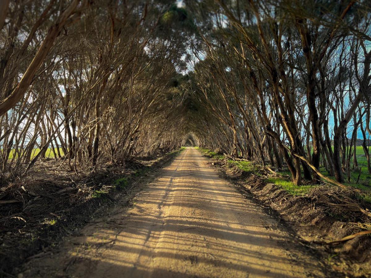 Cabn Kangaroo Island Penneshaw Ngoại thất bức ảnh